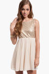 Shimmer Down Dress in Nude
