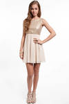 Shimmer Down Dress in Nude